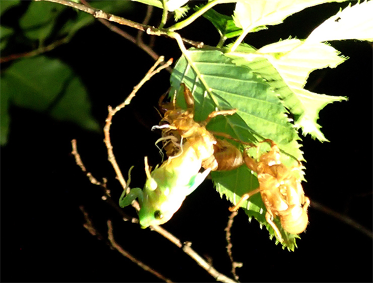 f0214649_14280537.jpg