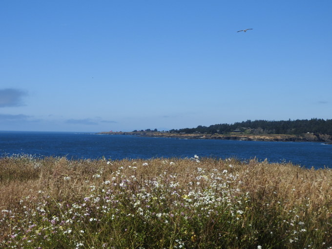 c0115366_09011376.jpg