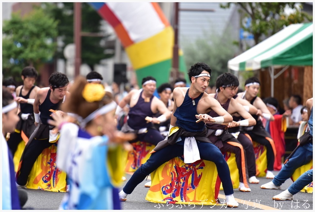 浦和よさこい　2019　(２)　富士見町内会武蔵_b0104774_21563948.jpg