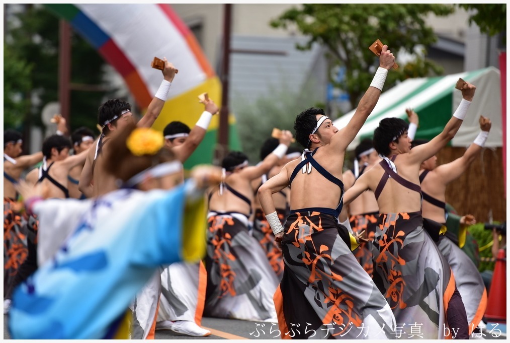 浦和よさこい　2019　(２)　富士見町内会武蔵_b0104774_21565490.jpg