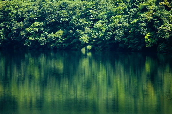 b0247880_14564909.jpg