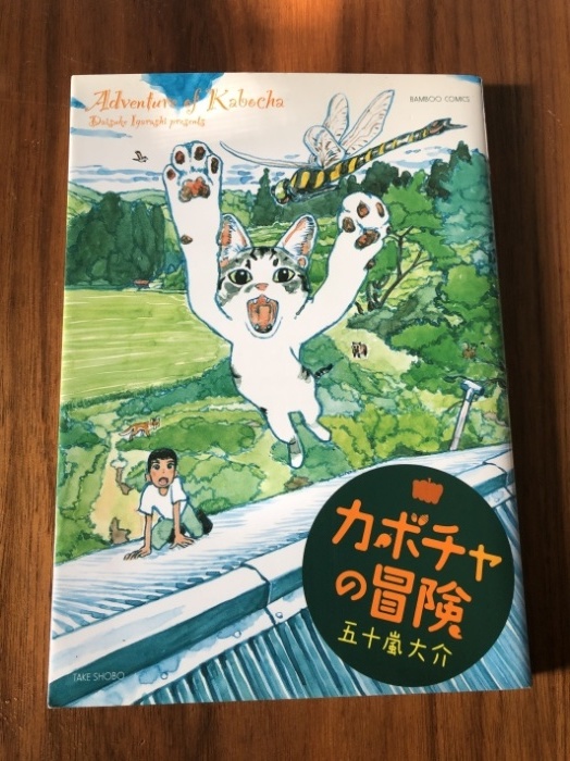 海辺の本棚 カボチャの冒険 海の古書店 海辺の本棚 カボチャの冒険 海の古書店