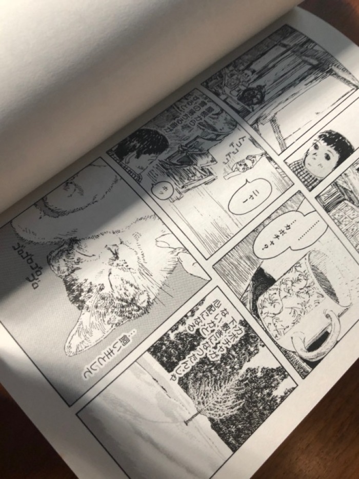 海辺の本棚 カボチャの冒険 海の古書店