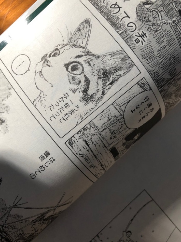 海辺の本棚 カボチャの冒険 海の古書店