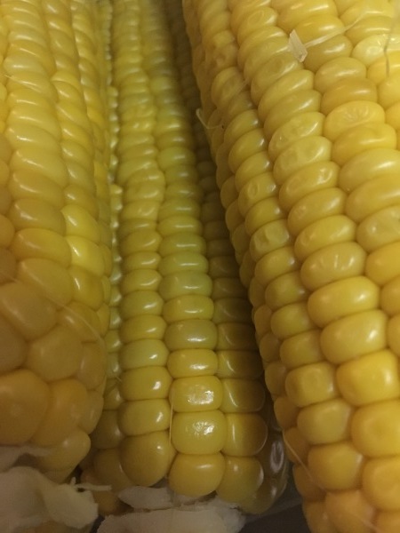 c0290382_10434352.jpeg