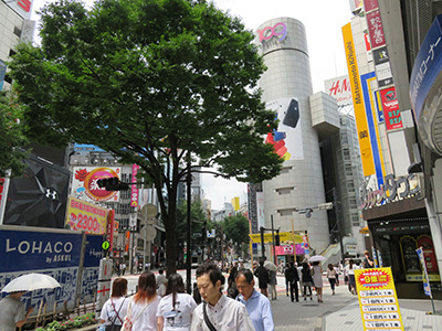 b0056983_11455736.jpg