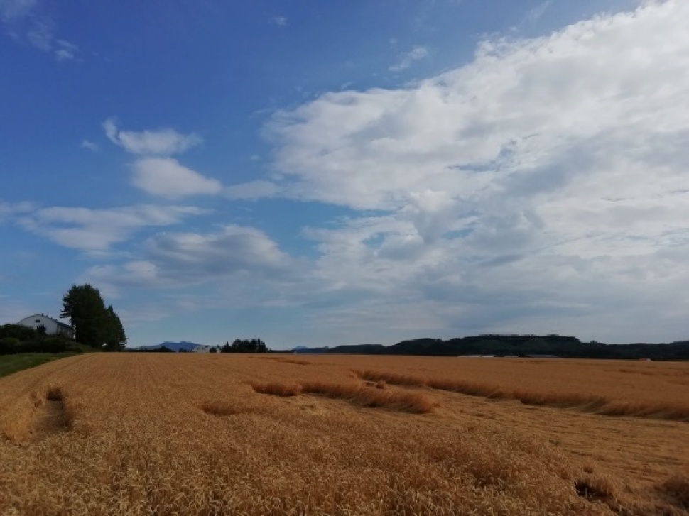 c0212083_19044031.jpg