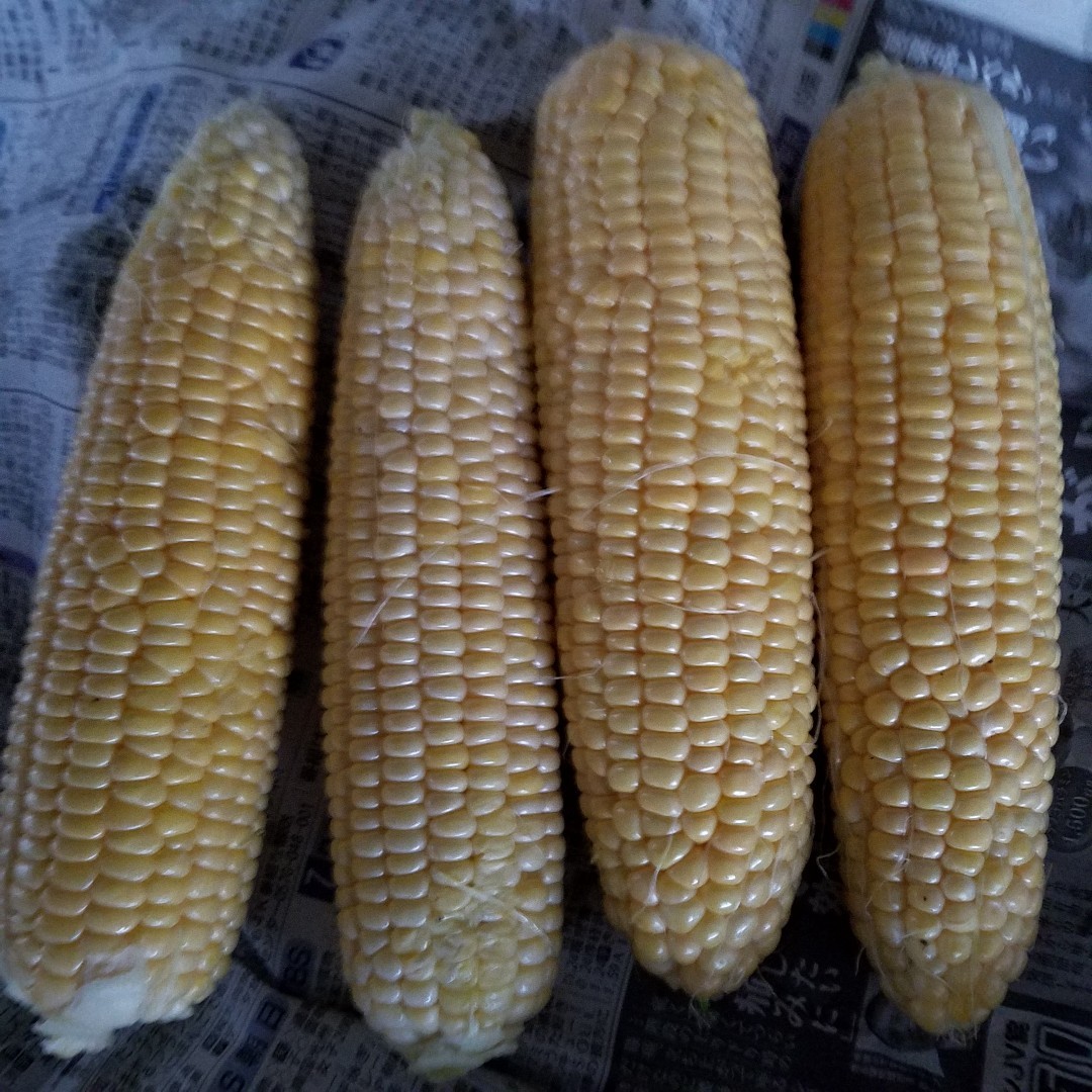 d0226286_19544464.jpg