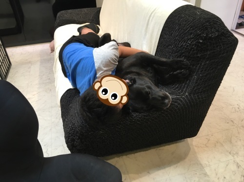 夏休み突入_f0347891_00461723.jpeg