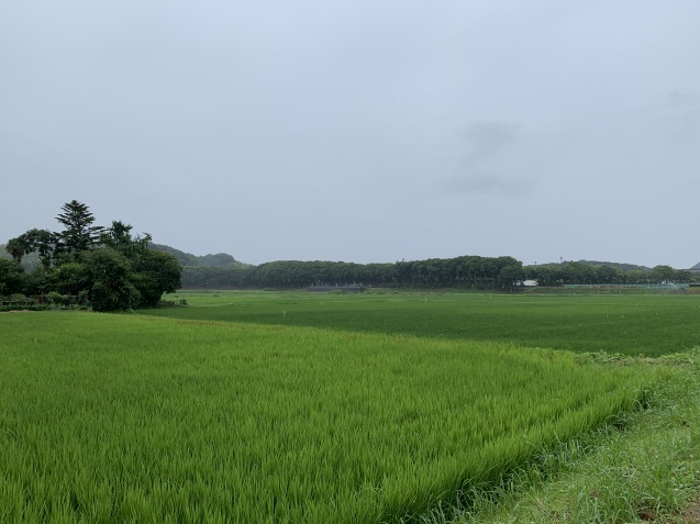 f0370494_22483272.jpg