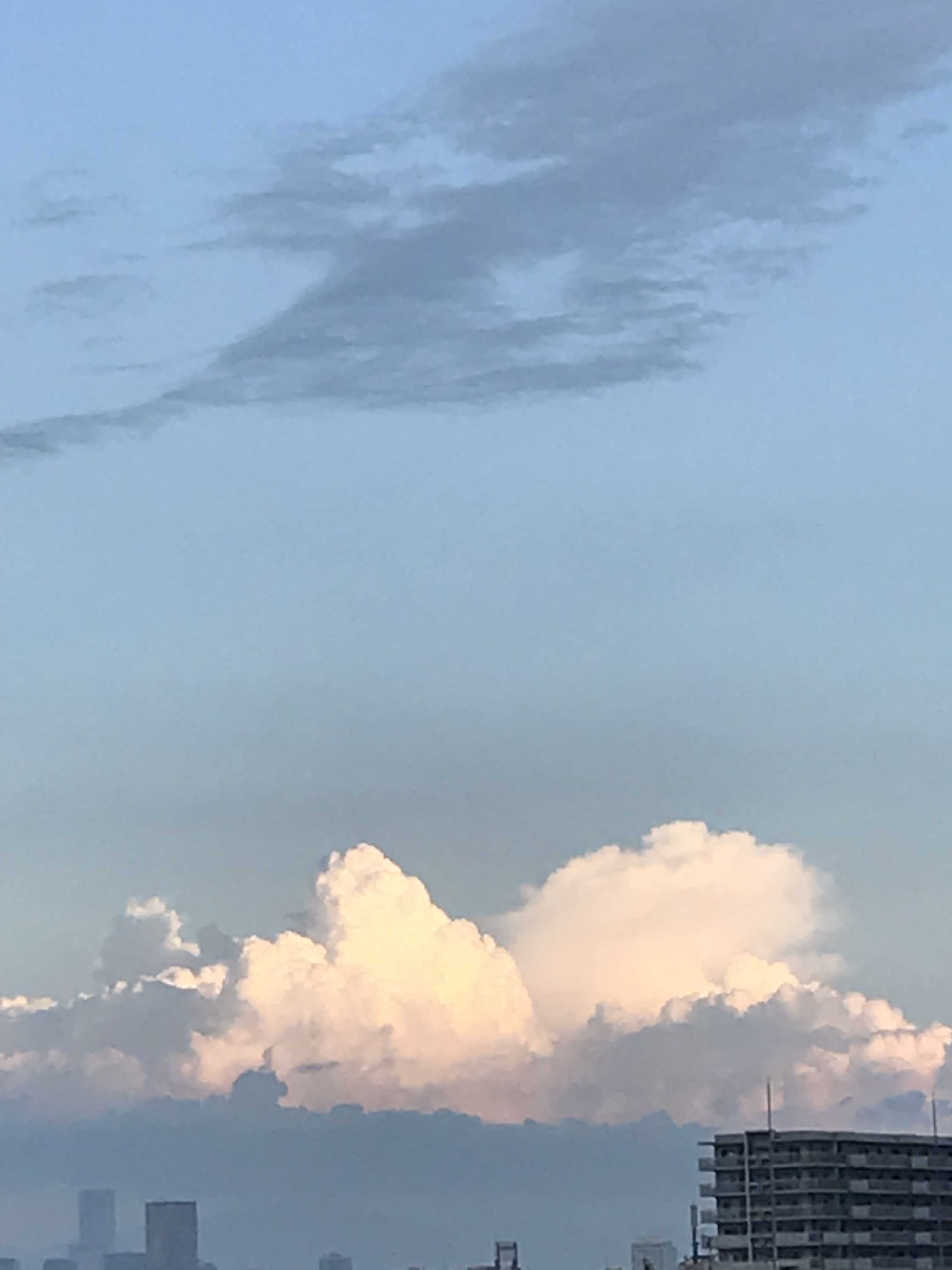 梅雨明け_f0204295_21052064.jpg