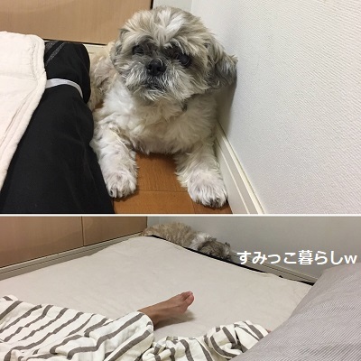 王子の病院デーとドナドナデー。_f0372998_16094067.jpg