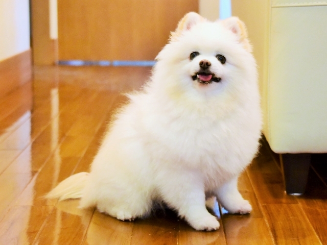 調子が良い時を狙って_d0360206_00365468.jpg