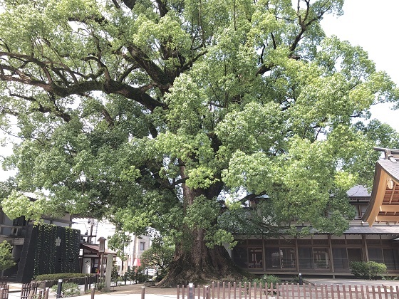 f0364707_23041183.jpg