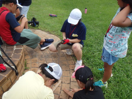 c0092408_17082730.jpg