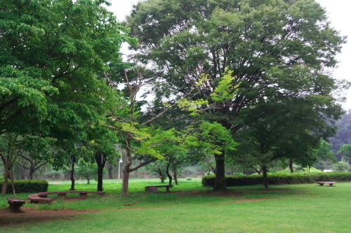 a0263109_17460455.jpg