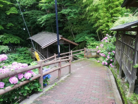 e0348420_06015267.jpg