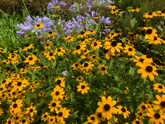 b0238426_18155611.jpg