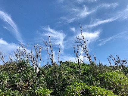 六甲山と瀬織津姫 249 久高島へ_a0300530_11434495.jpg