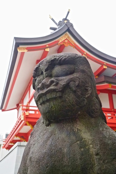 花園神社_a0340431_13051739.jpeg