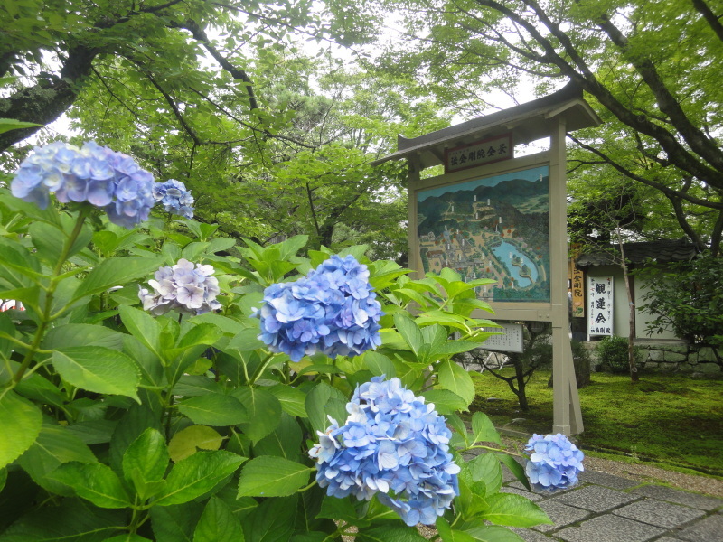 「蓮の寺」法金剛院のつづき_d0359338_14164058.jpg