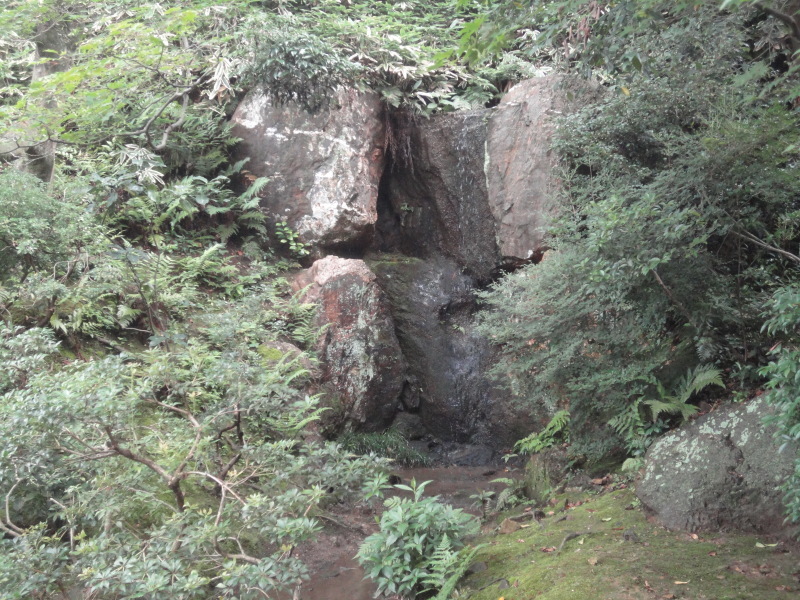 「蓮の寺」法金剛院のつづき_d0359338_14220854.jpg