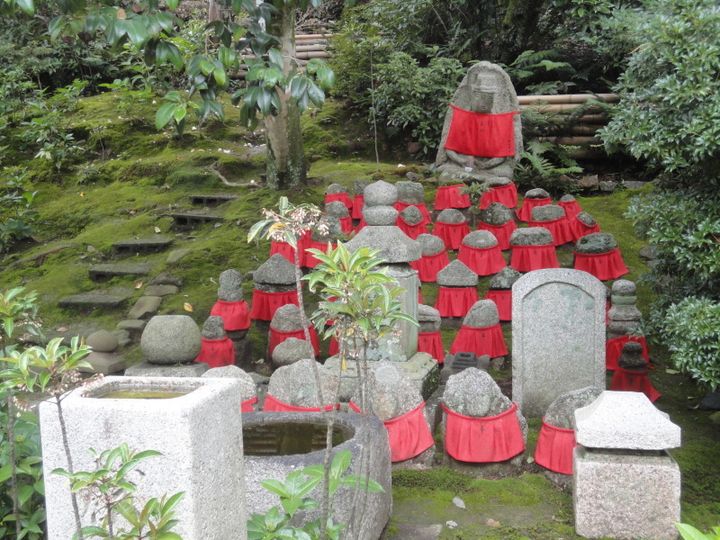 「蓮の寺」法金剛院のつづき_d0359338_14272064.jpg