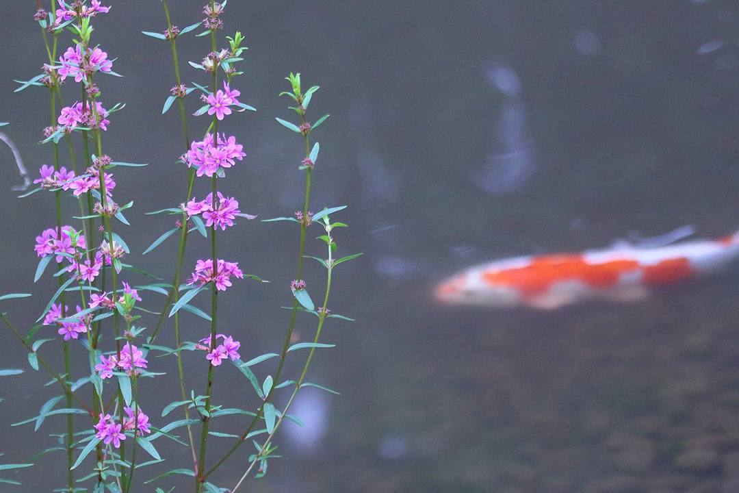 e0403850_05002123.jpg