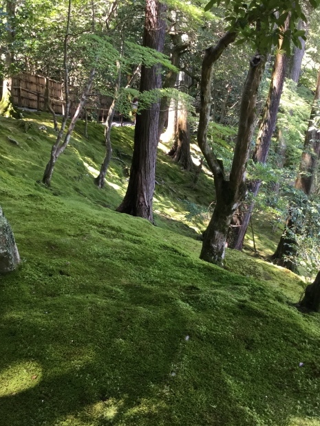 c0073152_21583300.jpg