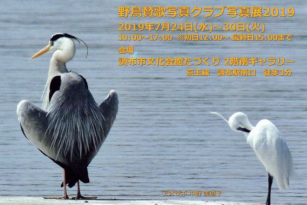 写真展のお知らせ_f0044056_15513256.jpg