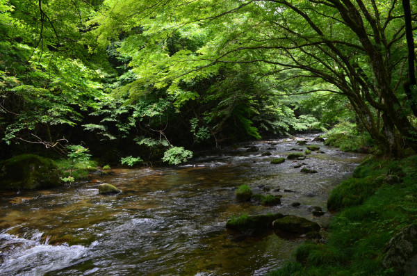 d0283357_00380347.jpg