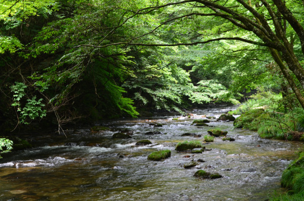 d0283357_00384901.jpg