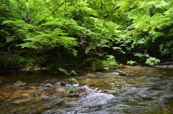 d0283357_00392449.jpg