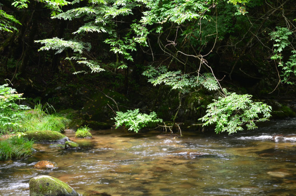 d0283357_00431421.jpg