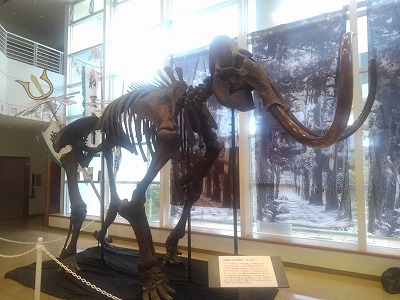 c0180460_01264711.jpg