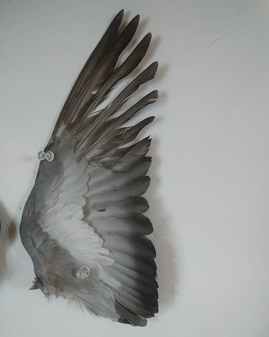 c0172261_10100741.jpg