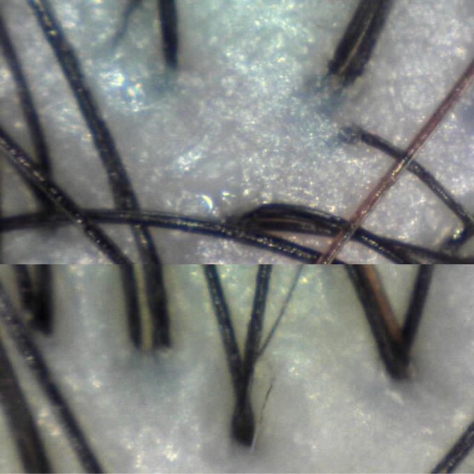 f0152875_22150066.jpg