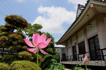 c0229483_9152229.jpg