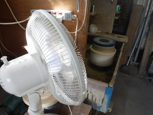 緊張したかな〜_d0195183_02483183.jpg