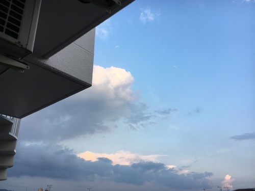 やっと梅雨明け_f0347891_01021474.jpeg