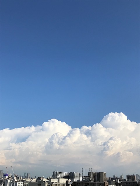 フラワーパラソル_f0204295_21433761.jpg