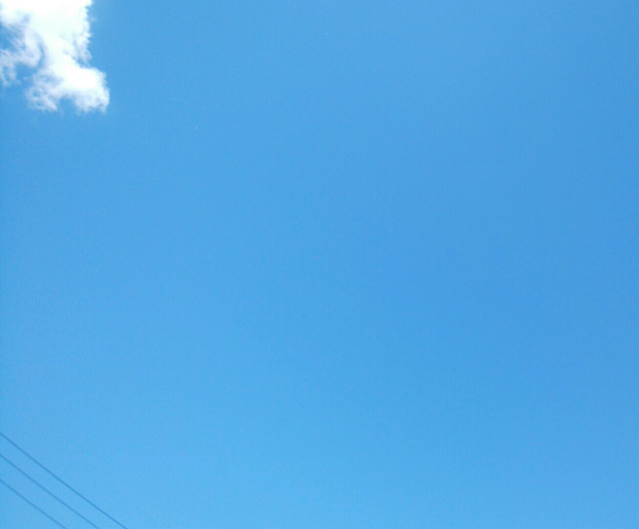a0223701_14093221.jpg