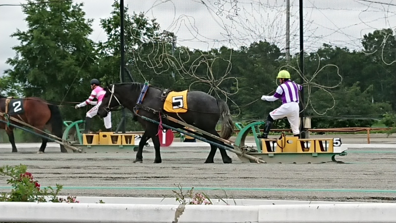 c0320302_20203447.jpg