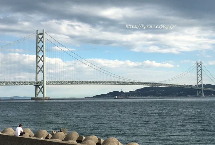 2番花のバラ　と　明石海峡大橋を見ながらほっこりTea　time_a0123003_22003304.jpg