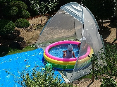夏休みは大変・・_e0289203_20432118.jpg