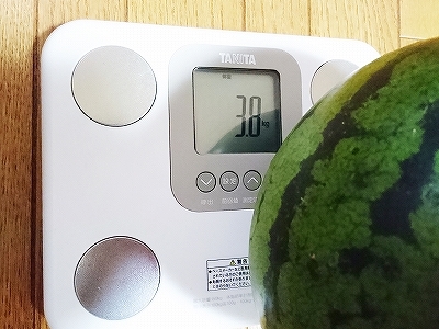 夏休みは大変・・_e0289203_20432855.jpg