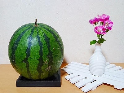夏休みは大変・・_e0289203_20434335.jpg