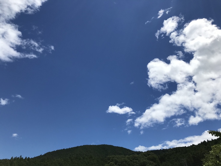 それでも青空は眩しい!!_c0212604_1231889.jpg
