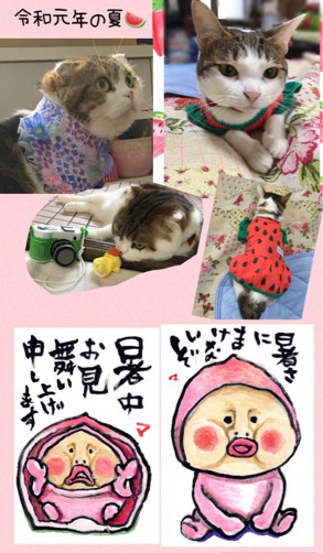 暑中見舞い_f0375804_06450040.jpg