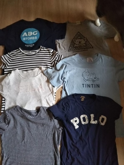 図書室から~Tシャツ並べ_f0316507_16393301.jpg